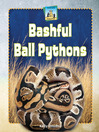 Cover image for Bashful Ball Pythons